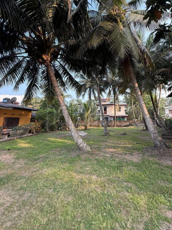 Commercial Land for Sale in Wadduwa