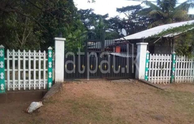 premium-listing-image