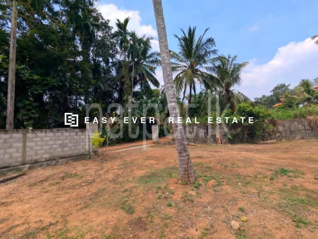 Residential Land for Sale in Mirigama