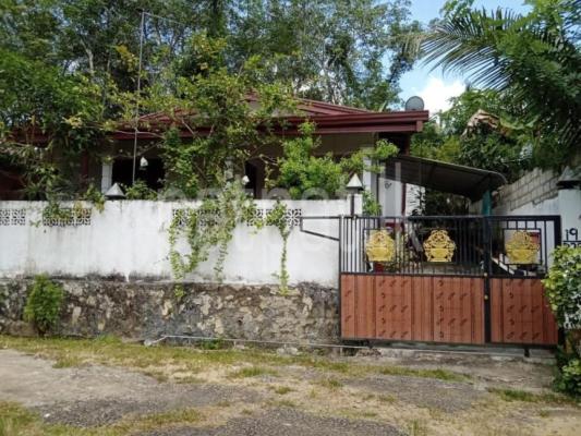 premium-listing-image