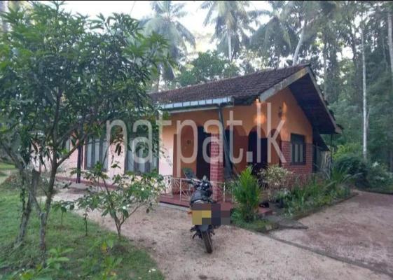 premium-listing-image