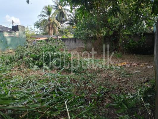 premium-listing-image