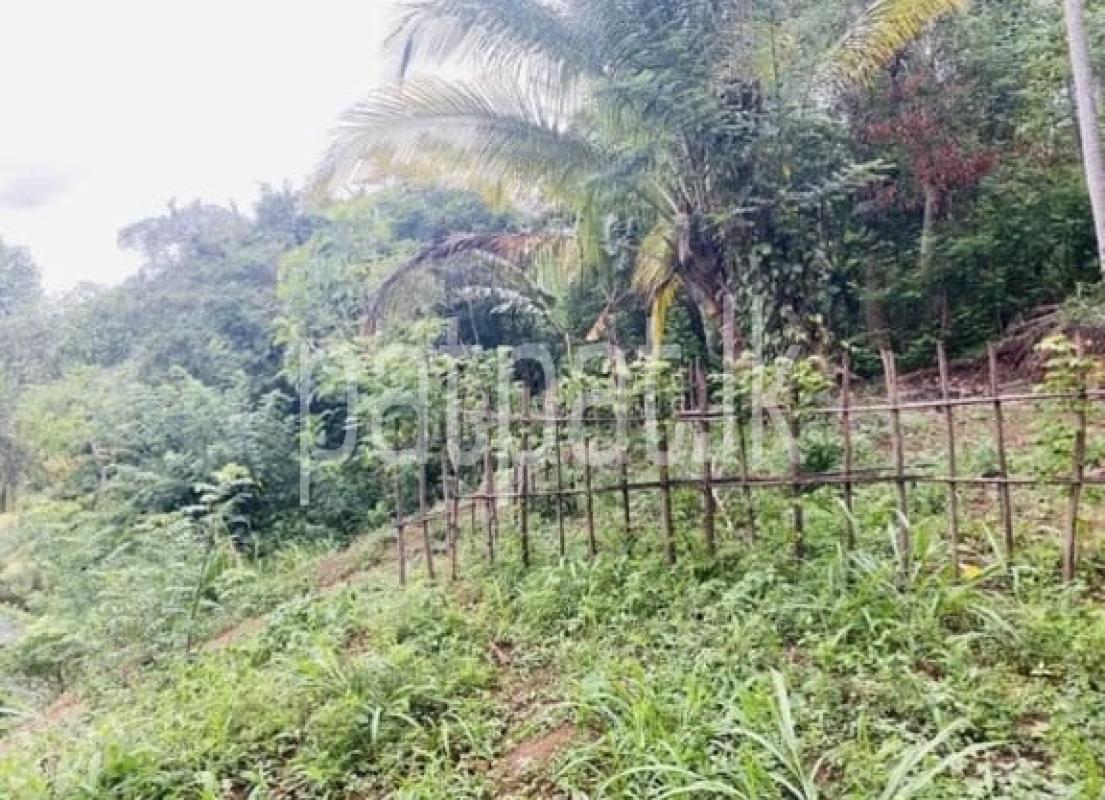 Agricultural Land for Sale in Ketawala Leula