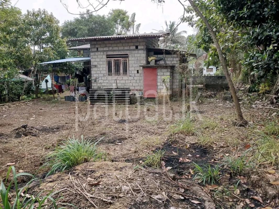 Agricultural Land for Sale in Gampola