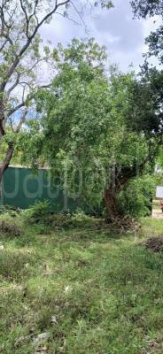 premium-listing-image