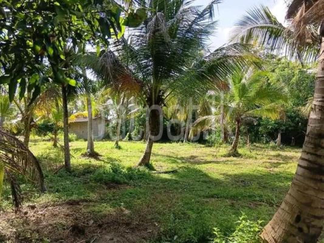 Residential Land for Sale in Ibbagamuwa