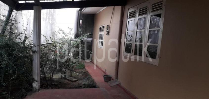 premium-listing-image