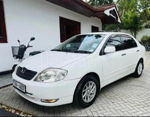 premium-listing-image