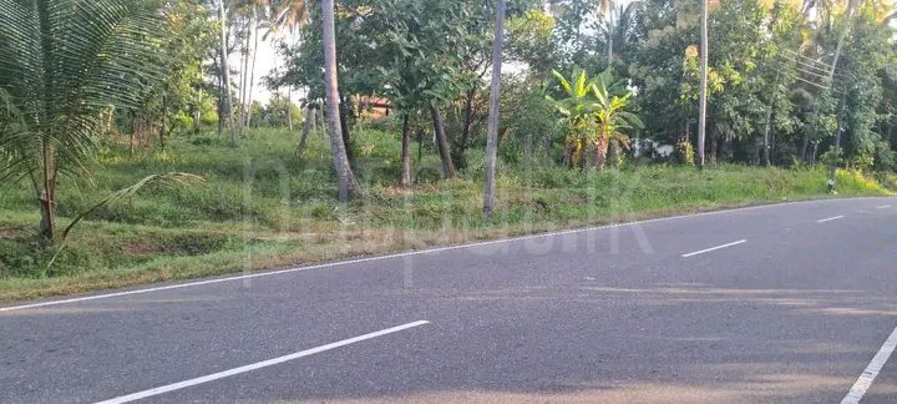 Agricultural Land for Sale in Ibbagamuwa