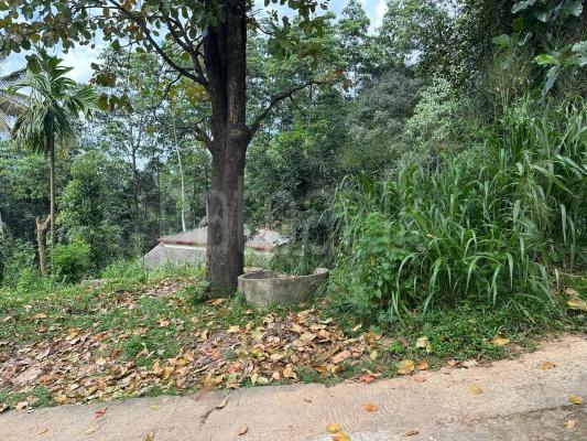 Residential Land for Sale in Peradeniya