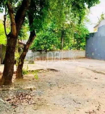 premium-listing-image