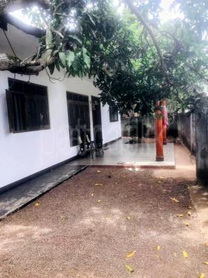 premium-listing-image