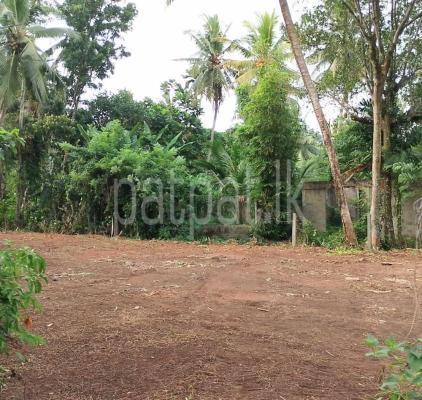 listing-image