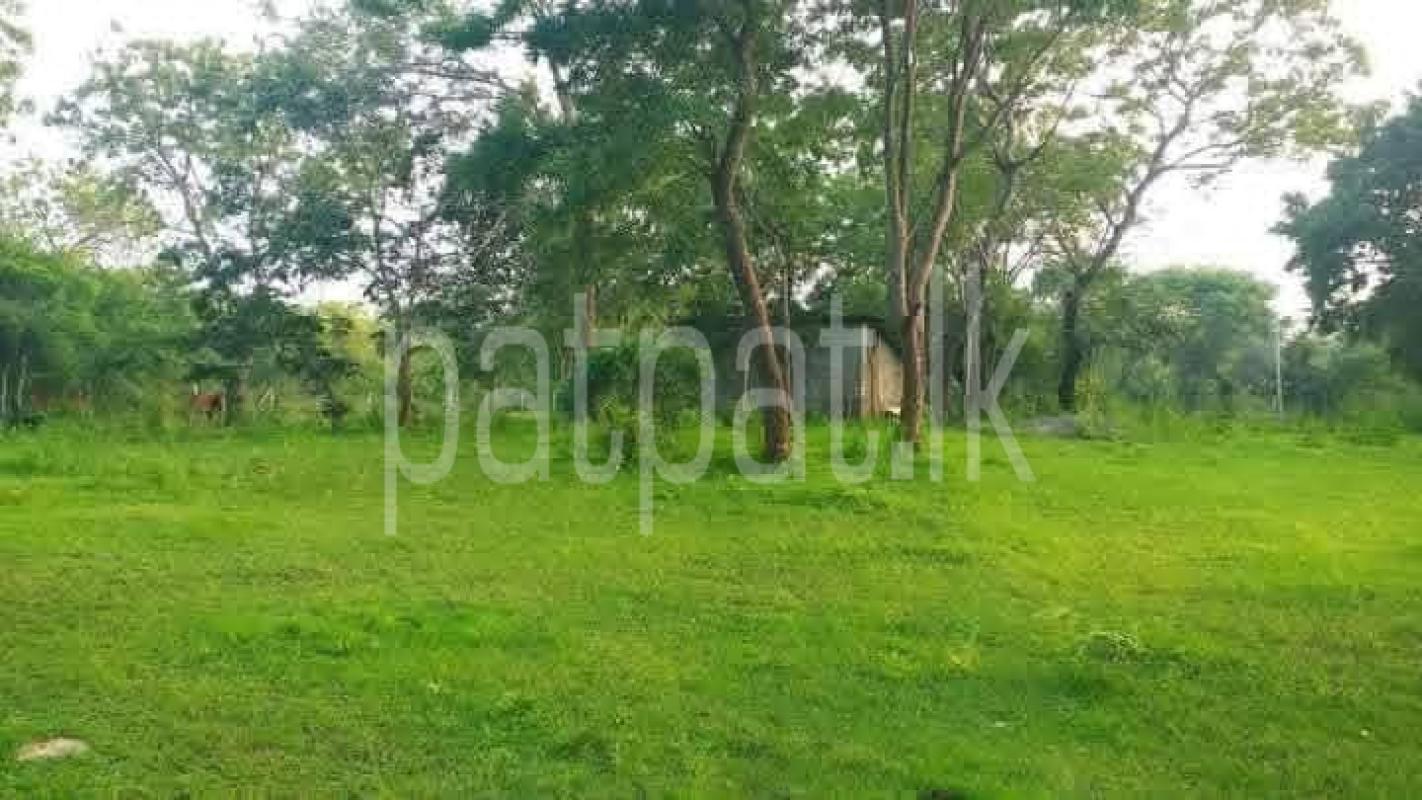 Residential Land for Sale in Kataragama