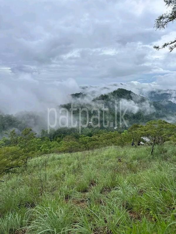 Agricultural Land for Sale in Ambewela