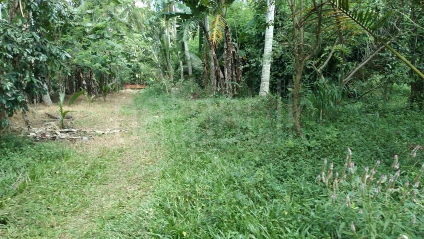 Agricultural Land for Sale in Alawwa