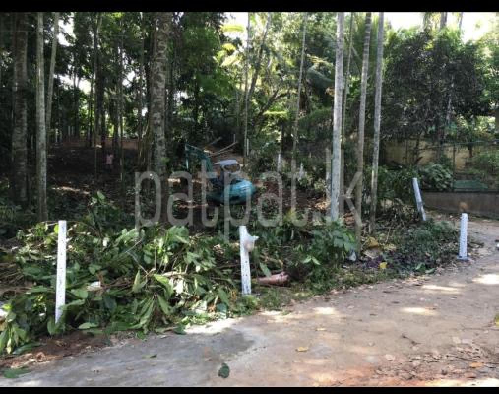 Residential Land for Sale in Lewella
