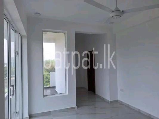 premium-listing-image