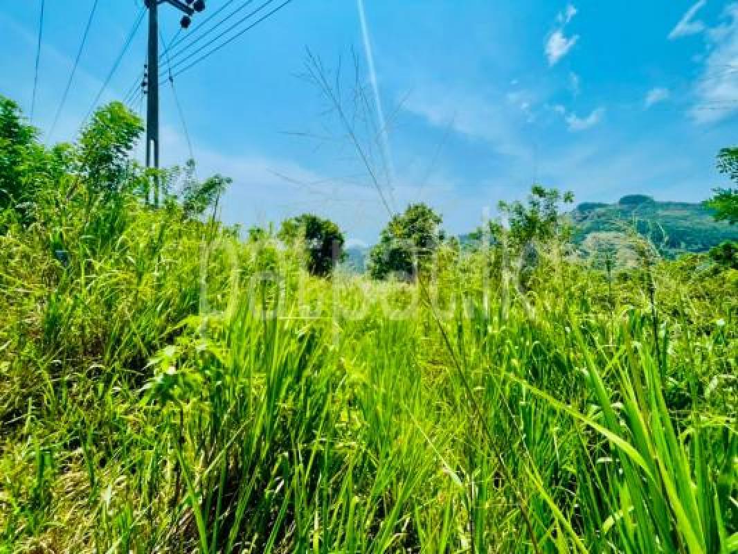 Commercial Land for Sale in Kandy