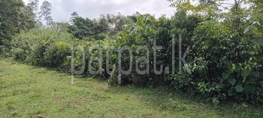 Residential Land for Sale in Akarawita