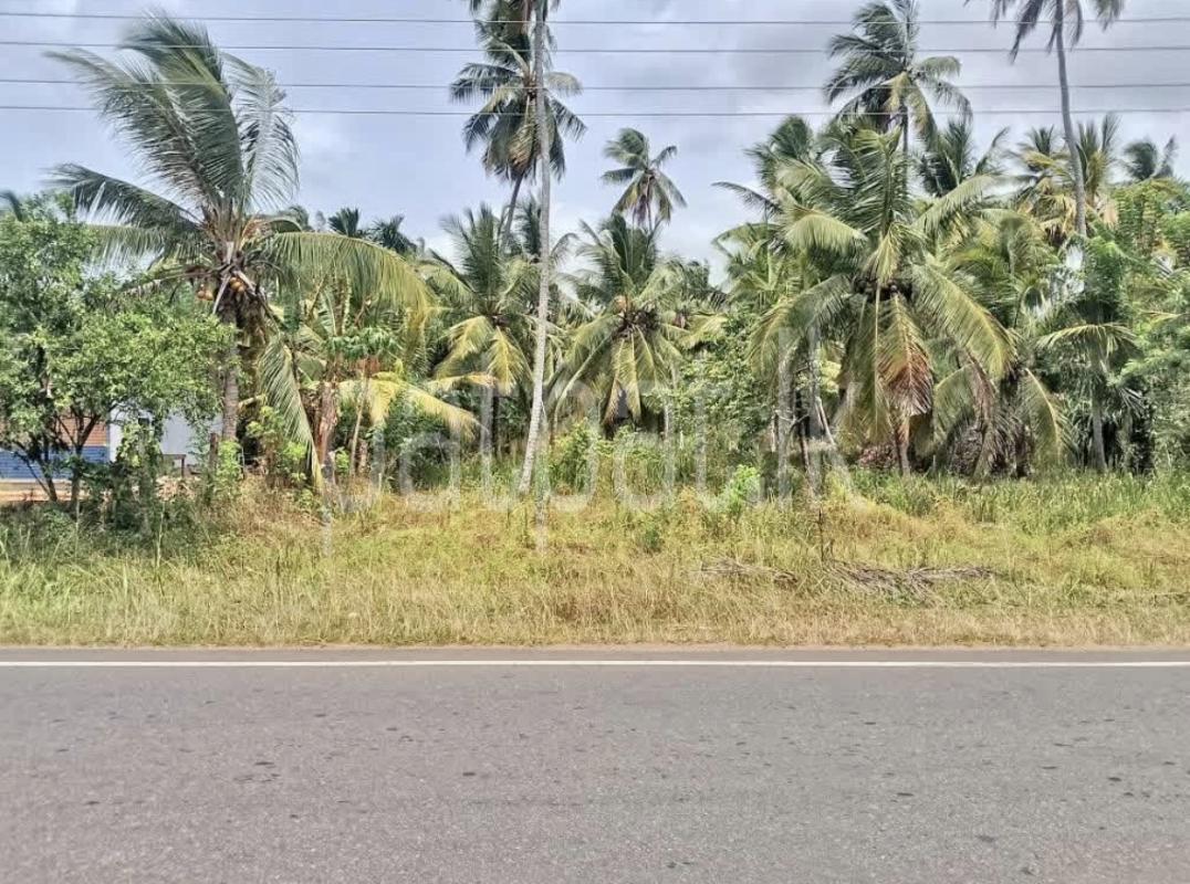 Commercial Land for Sale in Middeniya