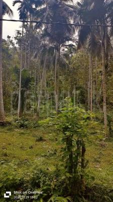 premium-listing-image