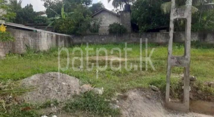 premium-listing-image