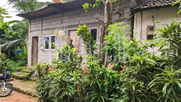 premium-listing-image