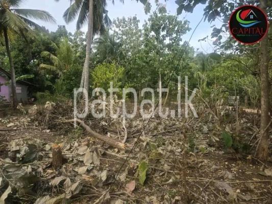 premium-listing-image