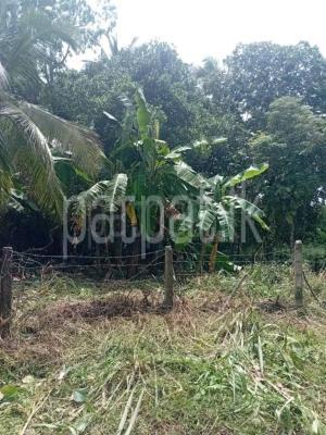 premium-listing-image