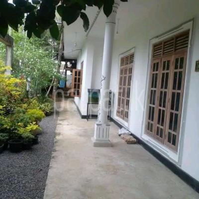 premium-listing-image