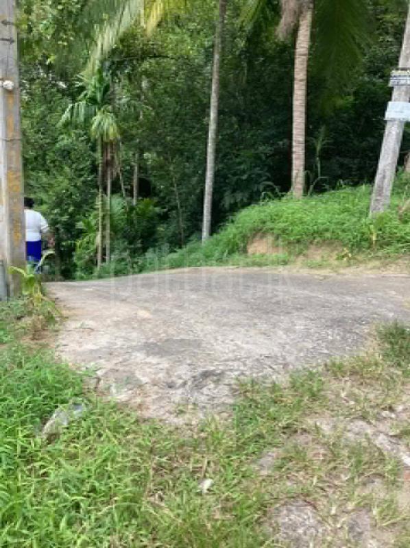 Agricultural Land for Sale in Kandy