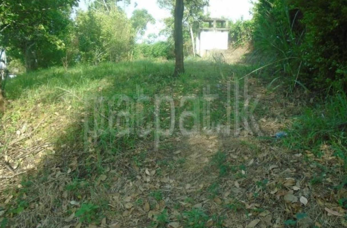 Residential Land for Sale in Kandy