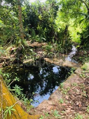 Commercial Land for Sale in Attanagalla