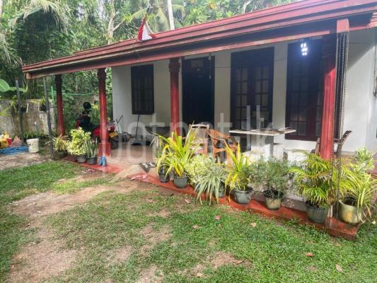 premium-listing-image