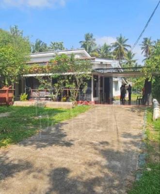 Agricultural Land for Sale in Mellawagedara