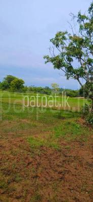 Agricultural Land for Sale in Kataragama