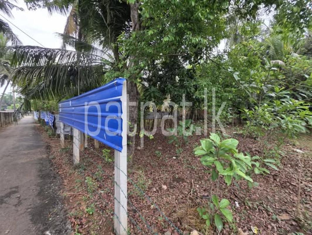 ads-image-1