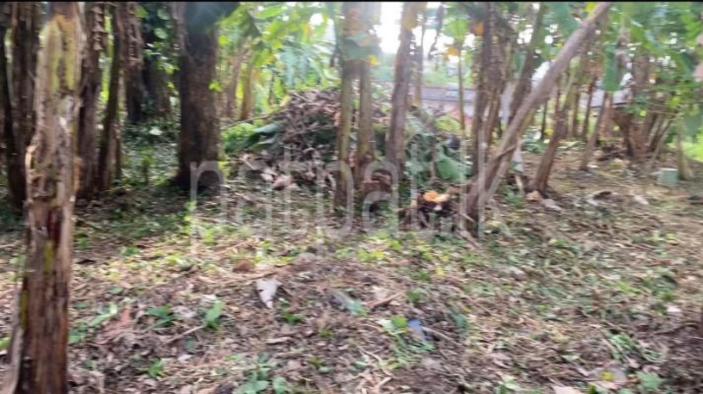 Residential Land for Sale in Siripura