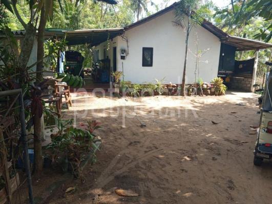 premium-listing-image