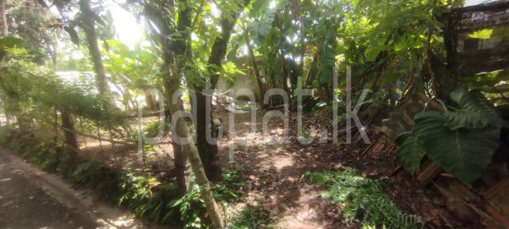 Residential Land for Sale in Maharagama
