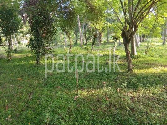 Agricultural Land for Sale in Badalgama