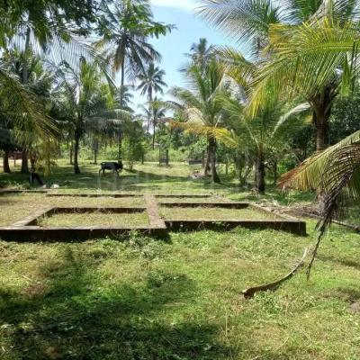 Agricultural Land for Sale in Kurunegala