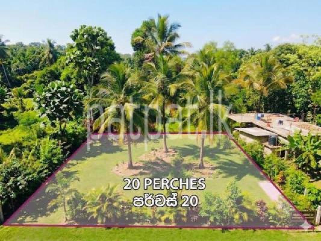 Residential Land for Sale in Walala