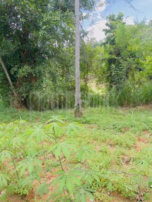 premium-listing-image