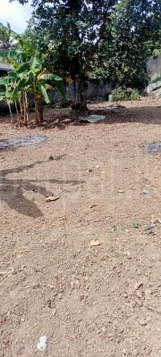 Residential Land for Sale in Malabe
