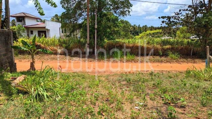 premium-listing-image