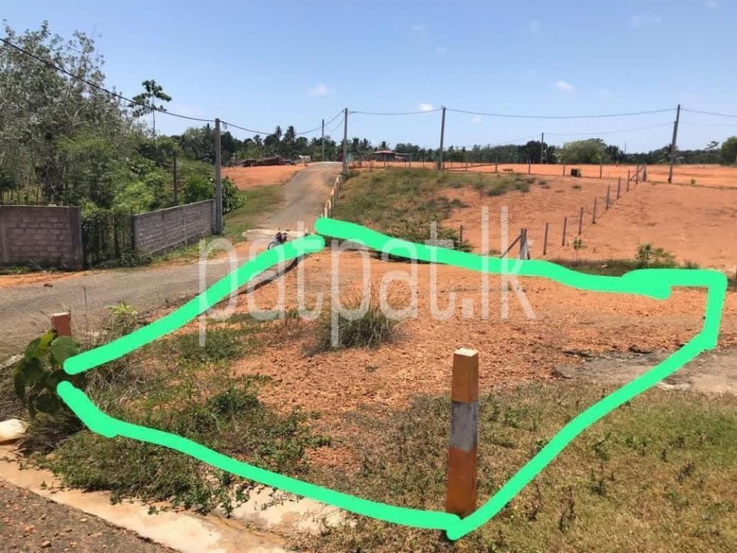 Agricultural Land for Sale in Dodangoda