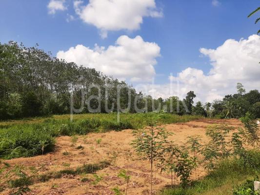 Agricultural Land for Sale in Padukka