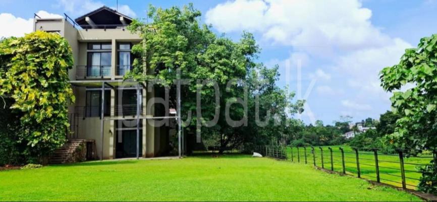 premium-listing-image